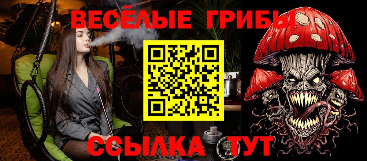 Псилоцибиновые грибы прущие грибы Фурманов