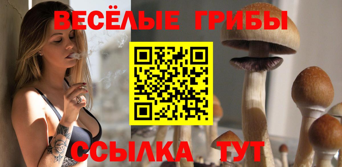 Фурманов  купить закладку  Вход с VPN  Псилоцибиновые грибы мухоморы 